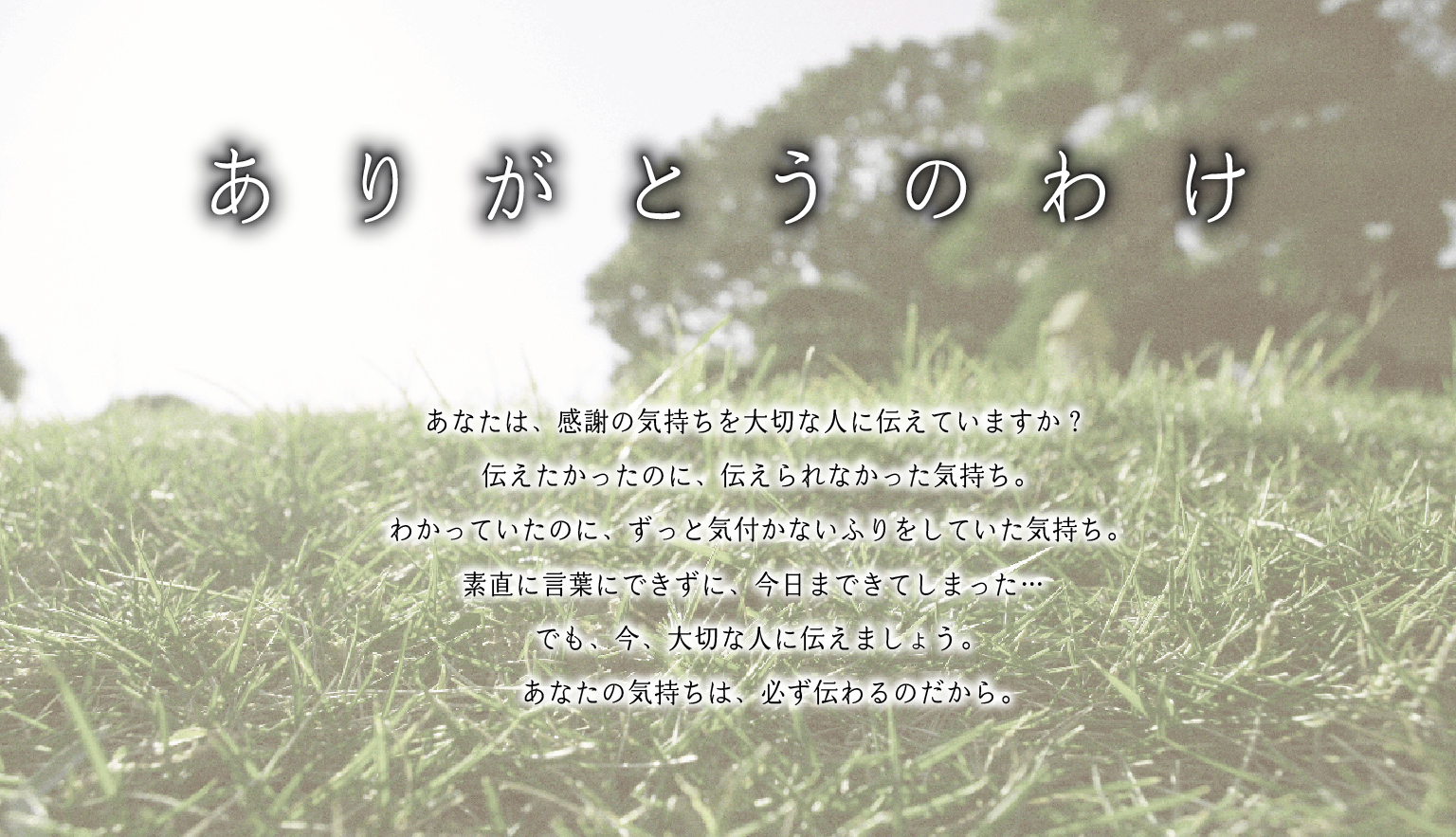 ありがとうのわけ あなたは 大切な人に感謝の気持ちを伝えていますか ありがとうのわけはコチラ